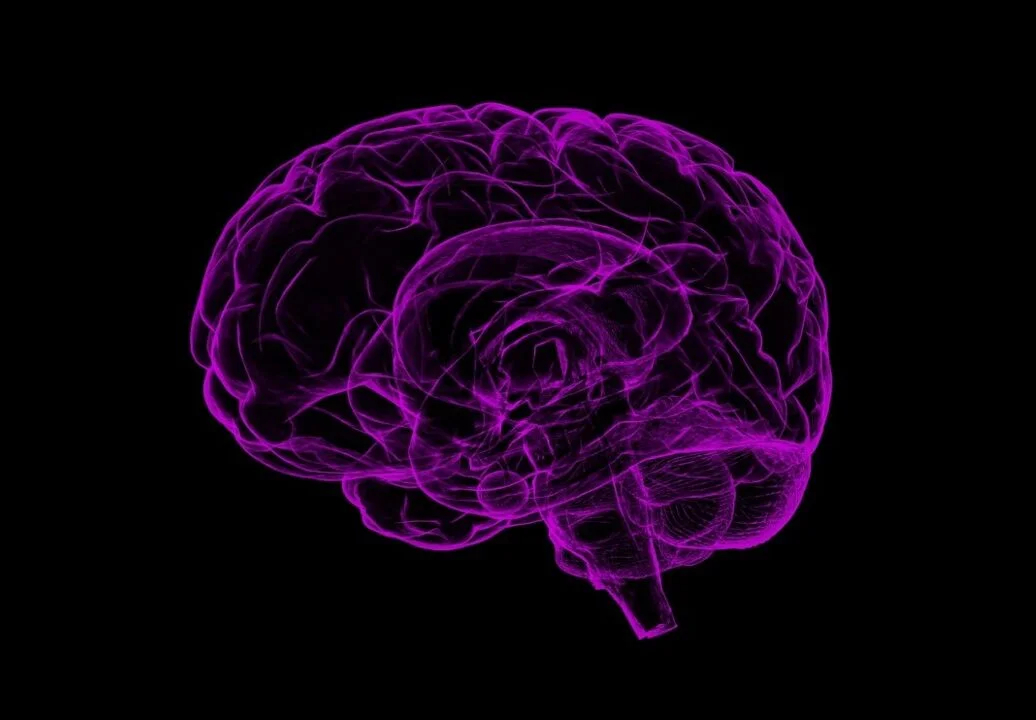Hypothalamic and Pituitary hormones – a detailed overview