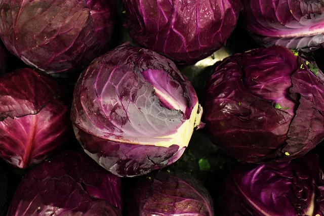 The Purple Cabbage Purple Cabbage - outsideclick / Pixabay
