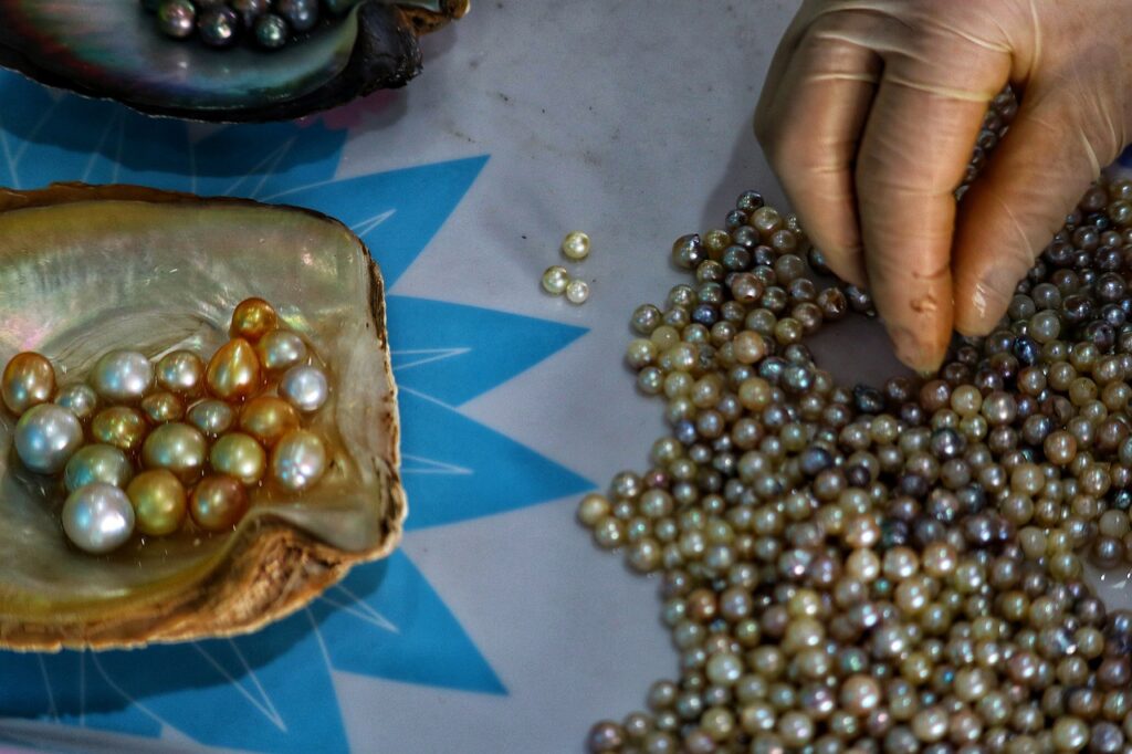 Vietnam Cultured Pearls Jewellery  - Tho-Ge / Pixabay