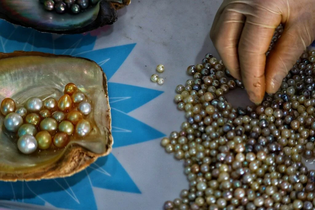 Vietnam Cultured Pearls Jewellery - Tho-Ge / Pixabay