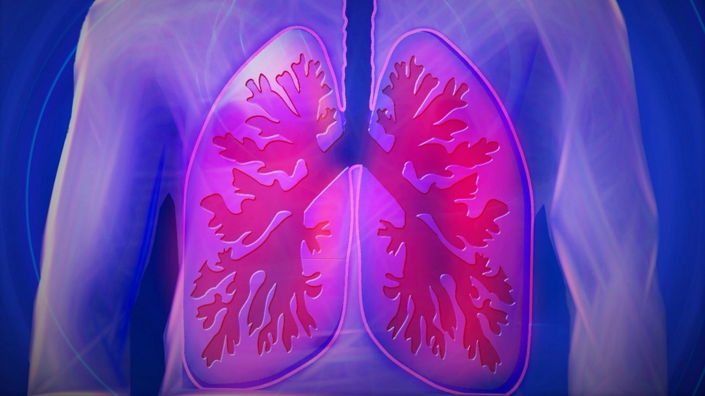 Human Respiratory System - a brief overview of anatomy and physiology