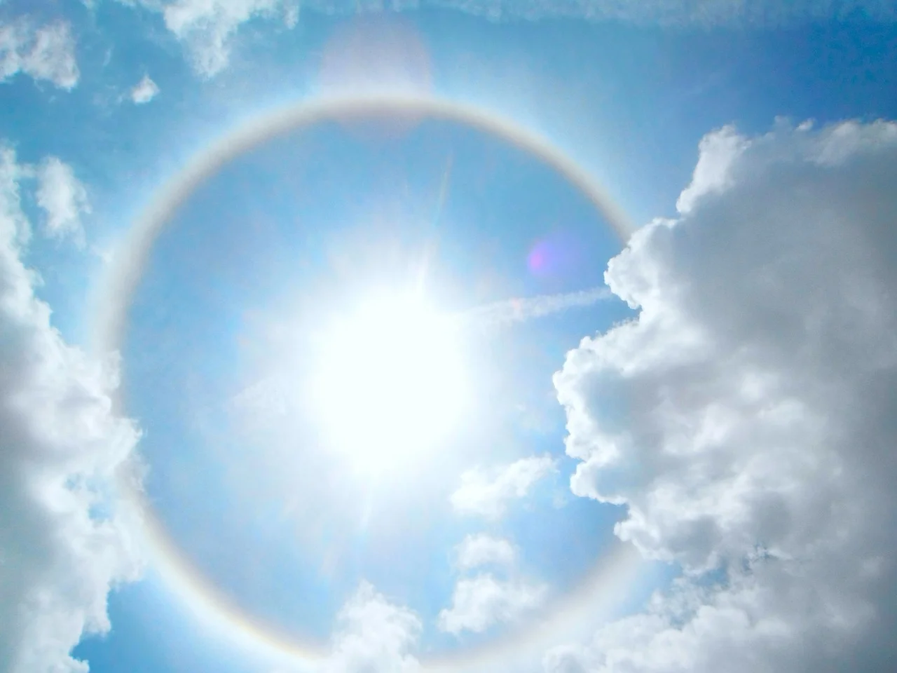 What are sun halos and moon halos?