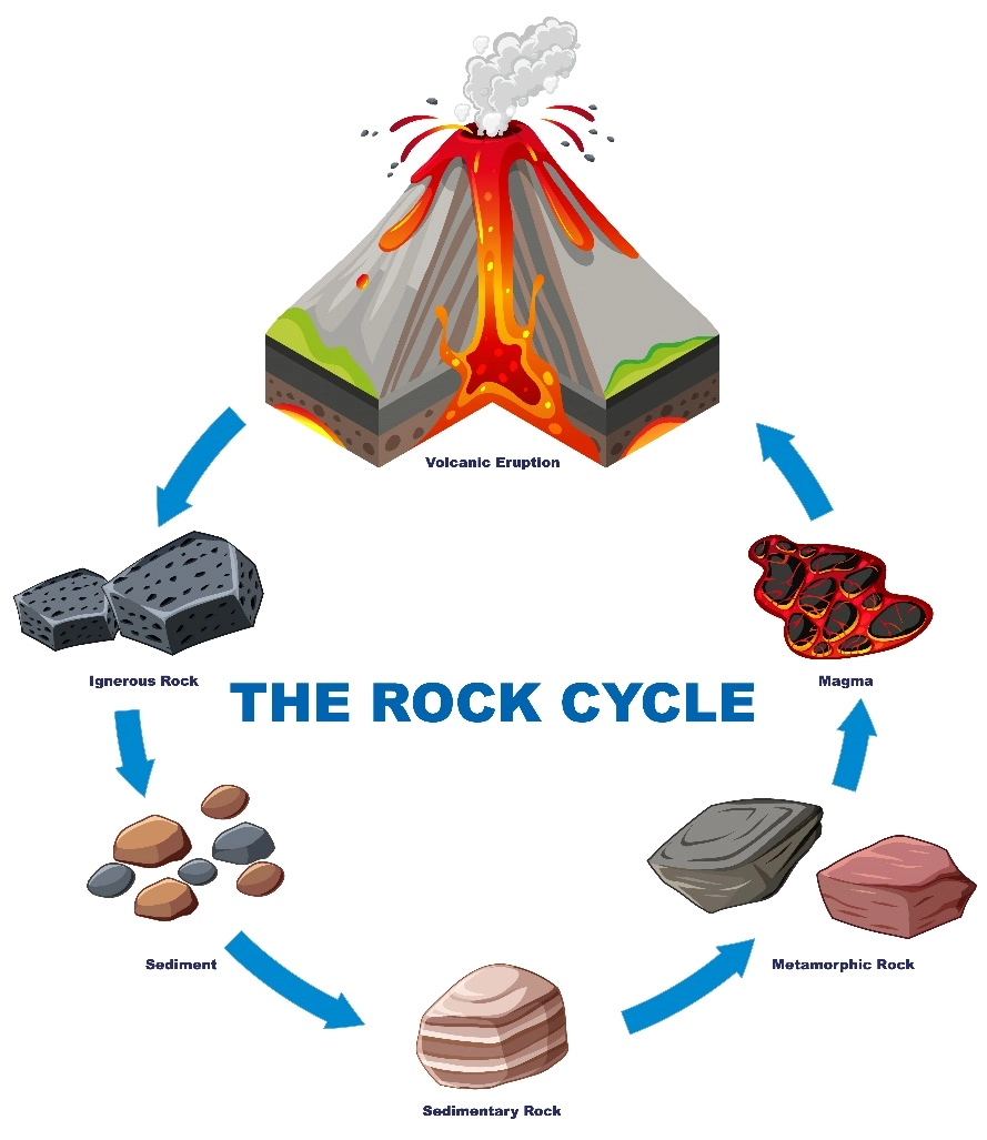 The Rock Cycle – Rocks and minerals