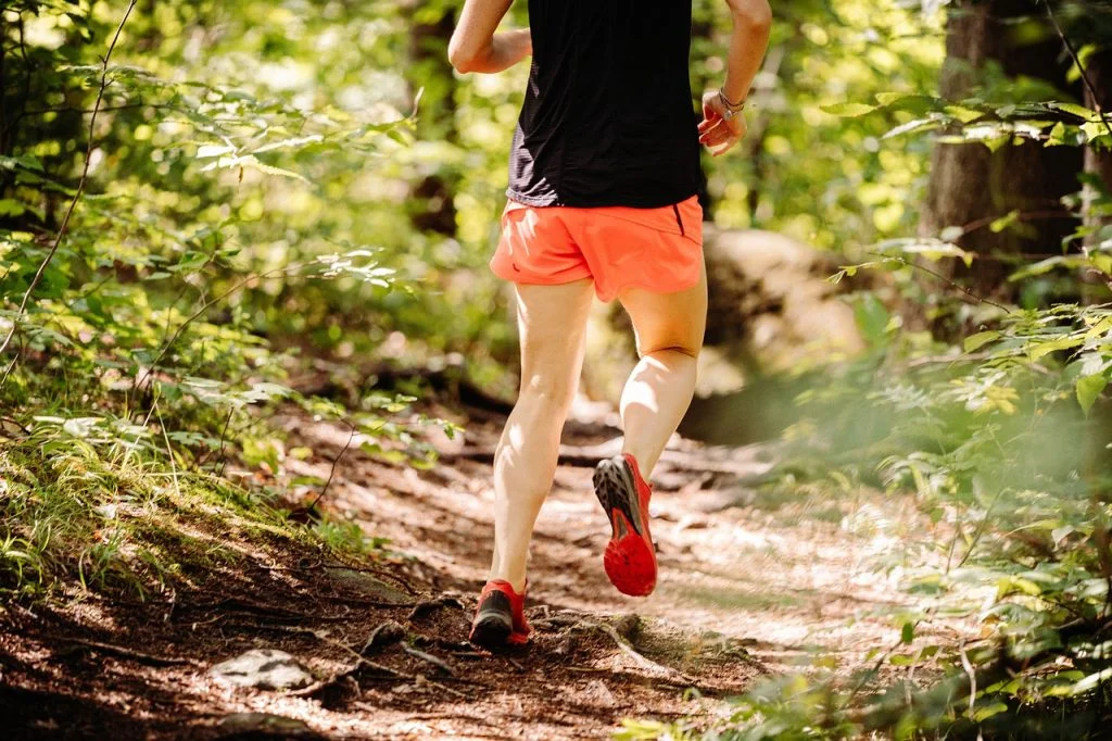 Trail Running Forest Woods - natachagagnekinesiolog / Pixabay