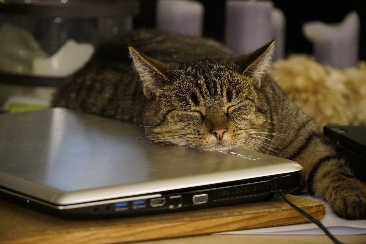 Work, sleep, and GCSEs - Balancing sleep and work for better GCSE results