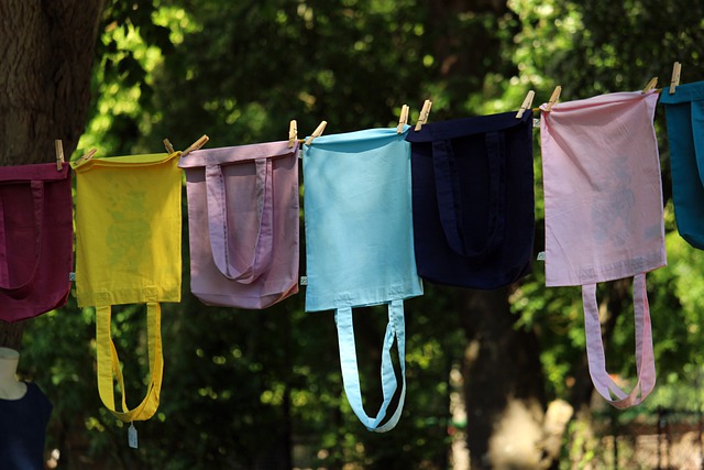 Clothes Line Laundry Service Bags  - KRiemer / Pixabay