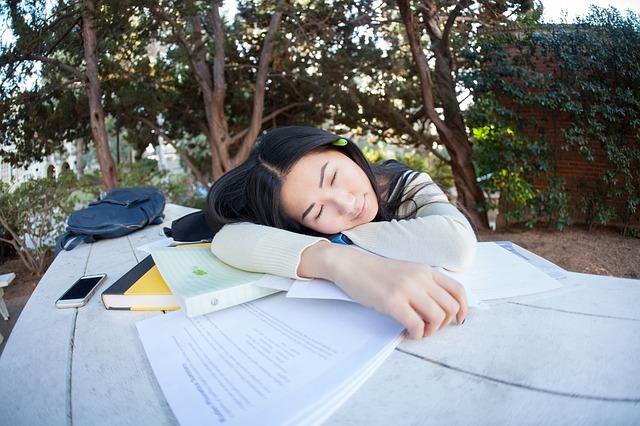 Student Girl Study Pupil Tired  - lograstudio / Pixabay