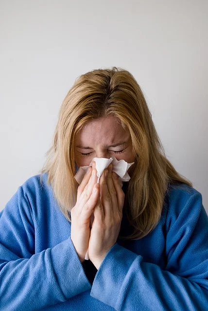 Woman Blow Blowing Nose Hand Chief - Mojpe / Pixabay