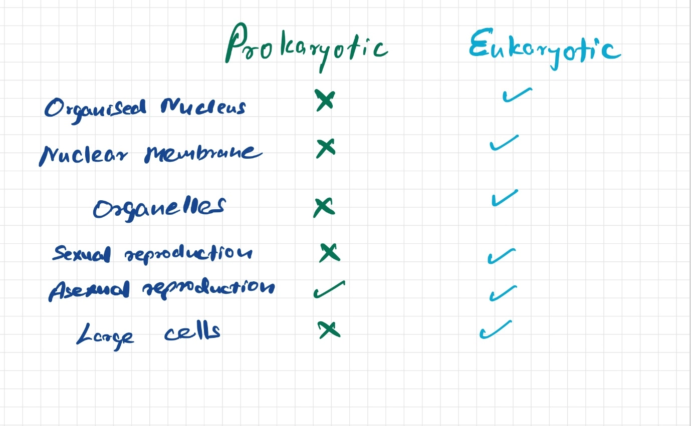 Eukaryotic cell – Revise with comparisons for GCSE science – Easy revision tips