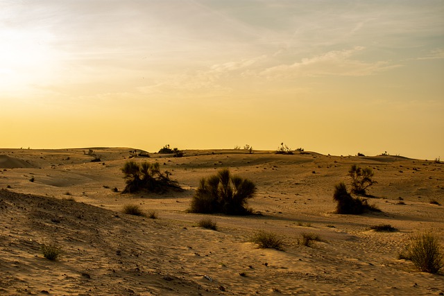  Desert Dubai 