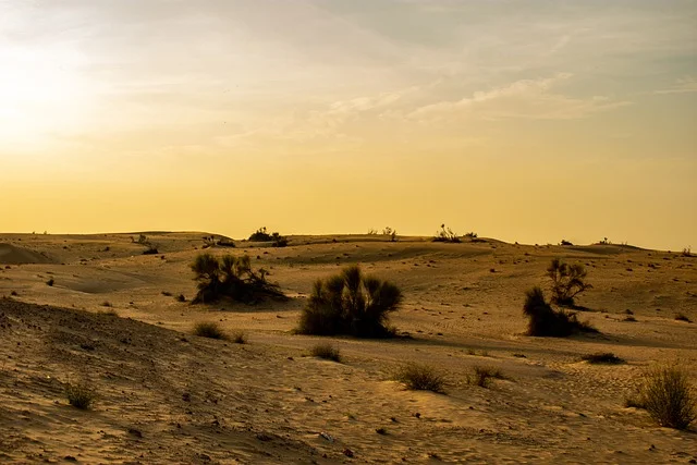 Desert Dubai