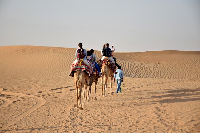 Camels Travel Desert Caravan  - richphotographix / Pixabay