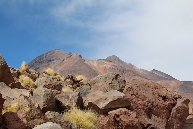 Desert Atacama Nature Outdoors  - b-olga-n / Pixabay