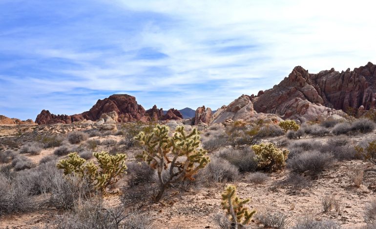  The Great Basin Desert – the largest desert in the North American continent