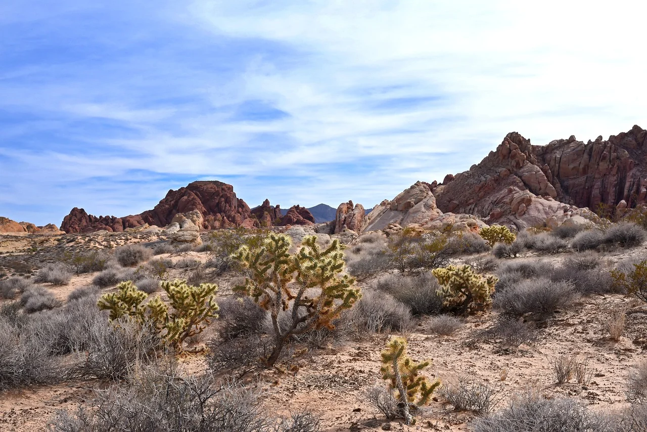 The Great Basin Desert - the largest desert in the North American continent