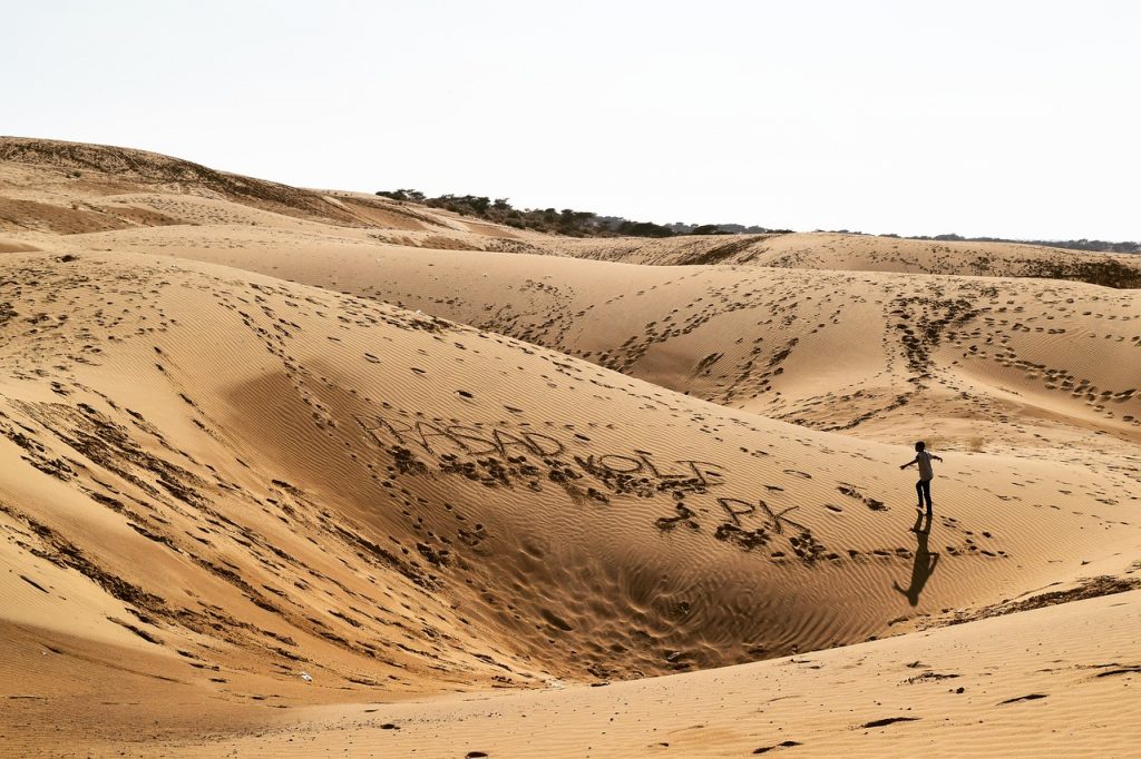 Desert Sand Dry Dunes Landscape  - priyankachoudhary / Pixabay