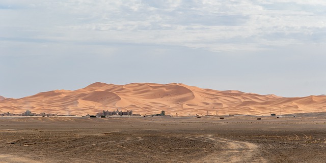 Desert The Sand Dunes Sahara  - pixelRaw / Pixabay