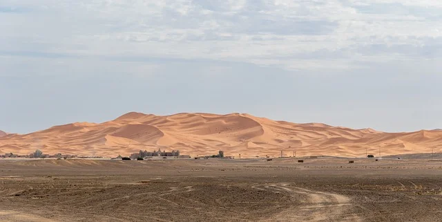 Desert The Sand Dunes Sahara - pixelRaw / Pixabay