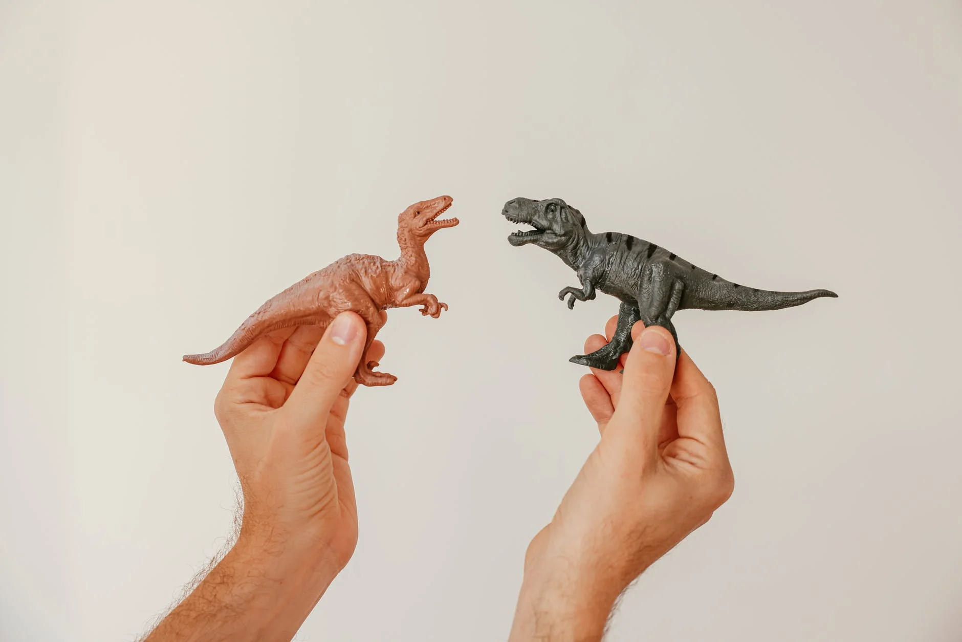 Dinosaur food chain - The balance of the Mesozoic 