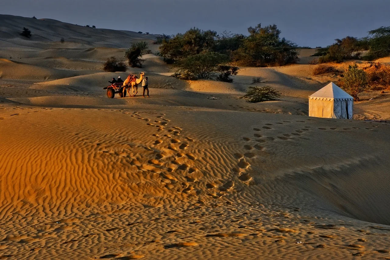Thar desert or the great Indian desert - the largest desert in India