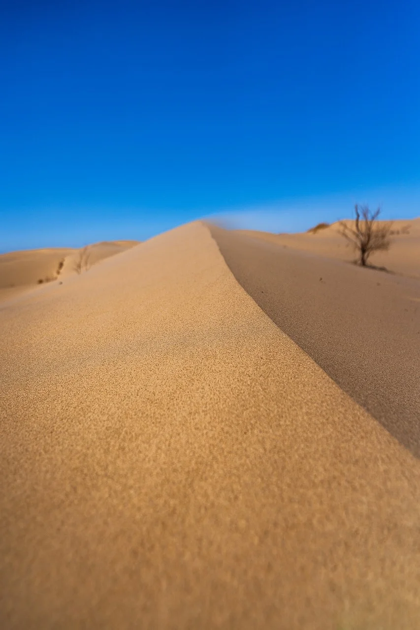 Arabian desert - the largest desert in Asia