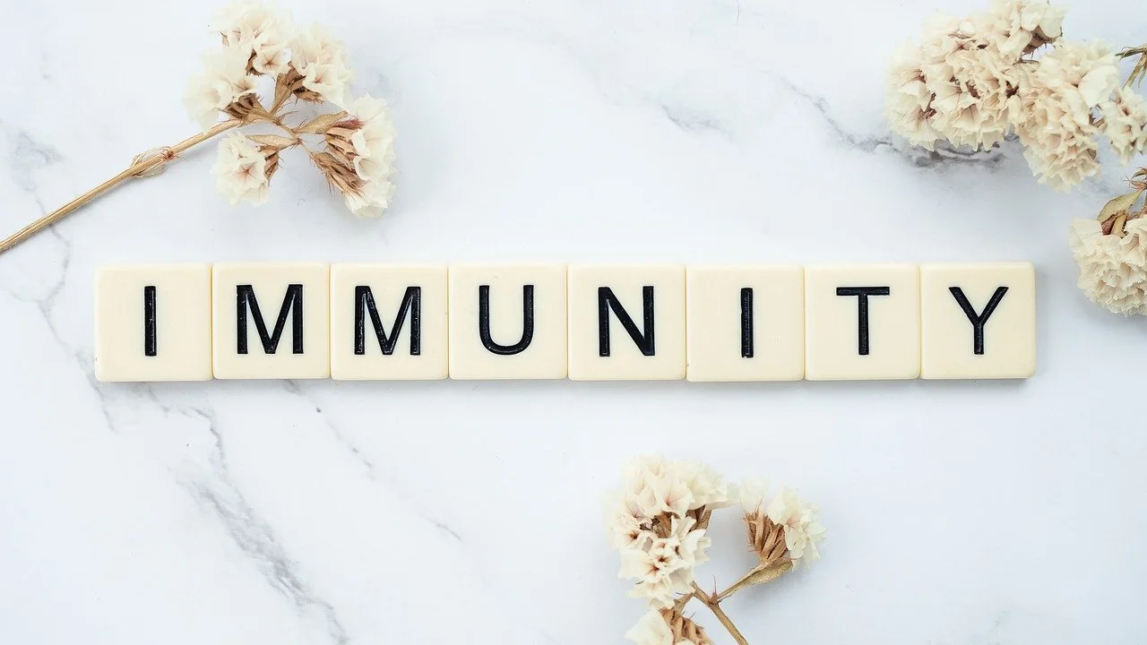 How to learn the basics of the human immune system
