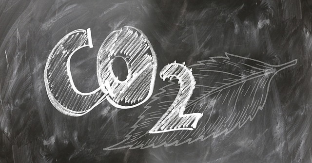  What is the most common method of carbon dioxide transport in human body?