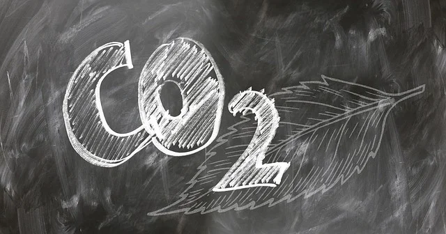 What is the most common method of carbon dioxide transport in human body?