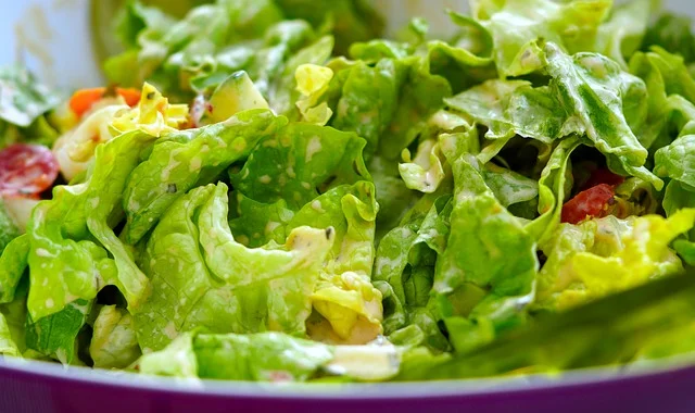 A plant-based diet may avoid cancers