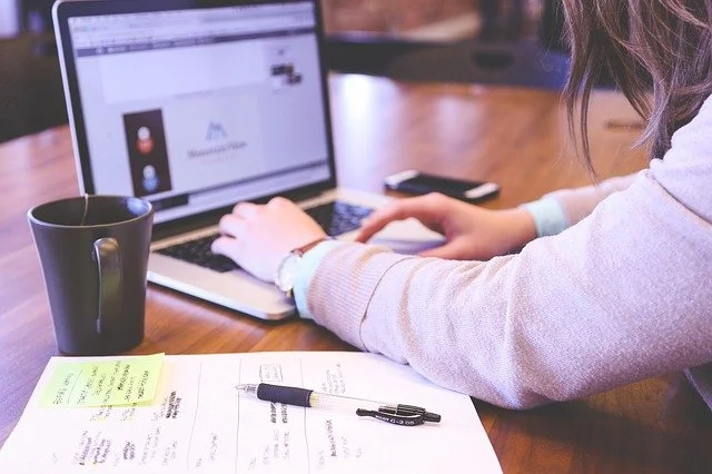 What is the most common pointing device on laptops?