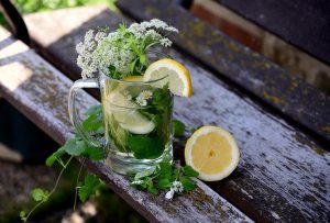 Herbs Herbal Water Drink  - congerdesign / Pixabay