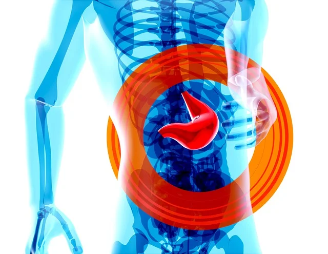 Why Your Gut Health Is Paramount and How to Improve It?