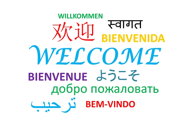 What is the most common language in the world?