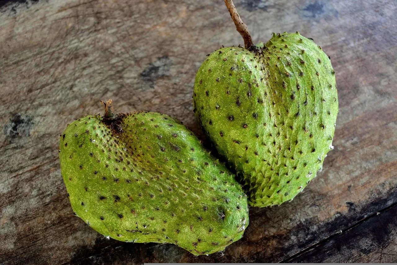 Two whole green soursop fruits on a wooden table