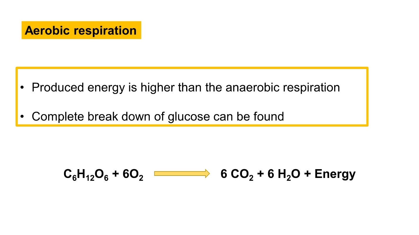 Aerobic respiration – Cellular respiration