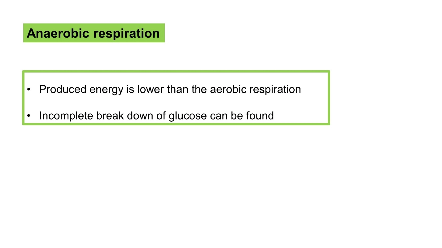 Anaerobic respiration – Cellular respiration