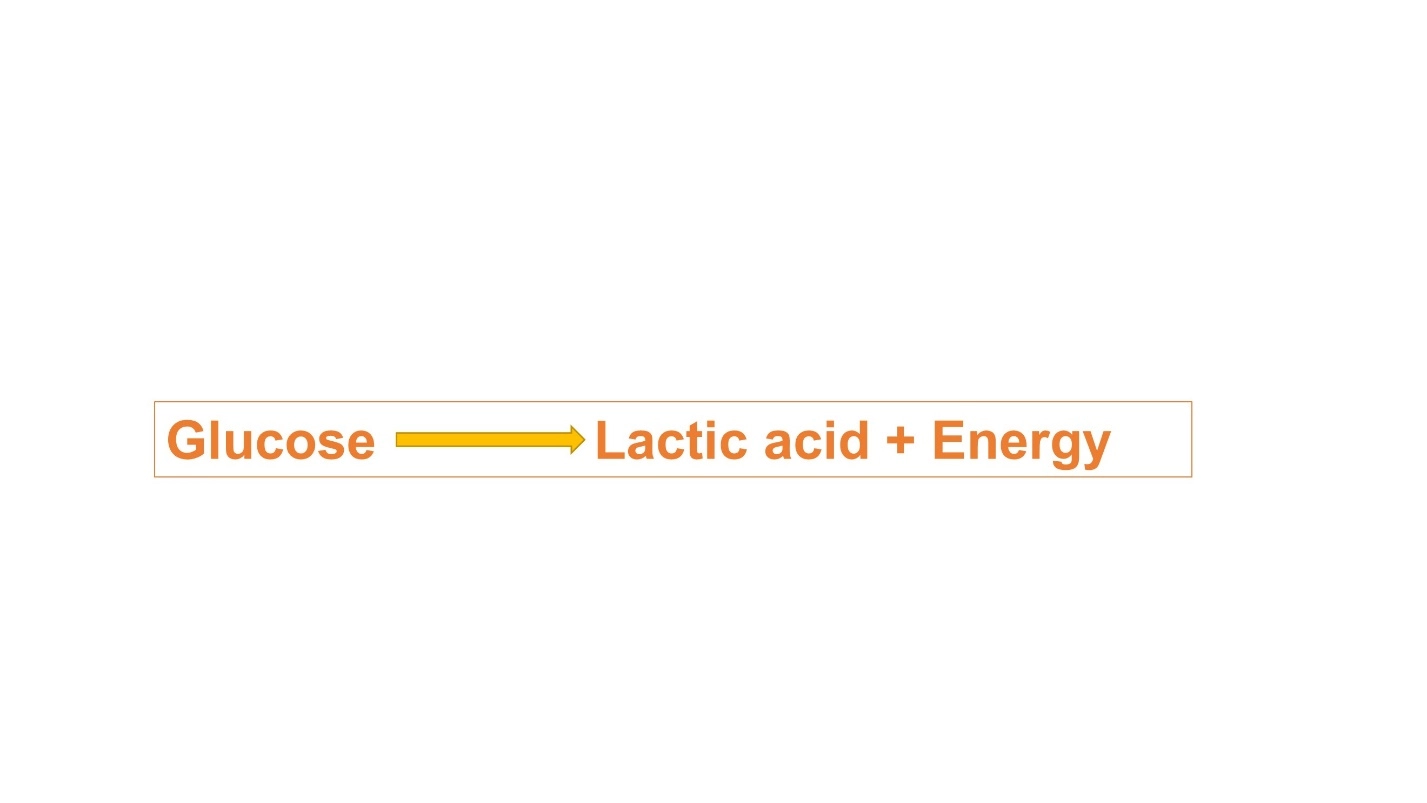 Anaerobic respiration – Cellular respiration