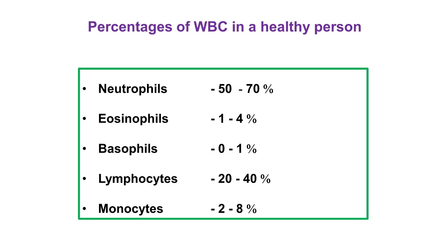 WBC Percentages – Human Blood ( Animal Physiology - BLOOD AND CIRCULATION)