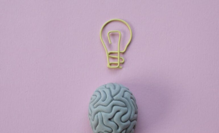 paperclip in a shape of a light bulb and a rubber eraser in a shape of a brain