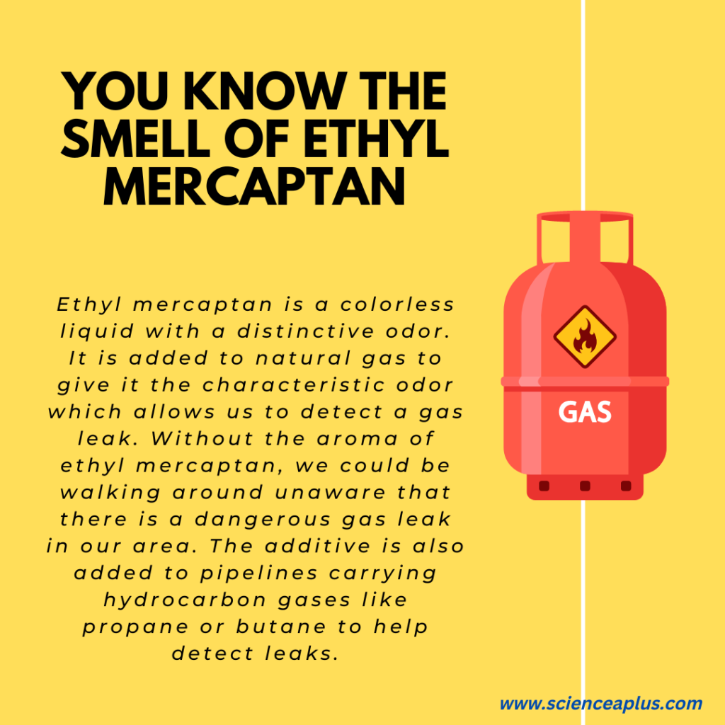 you know the smell of ETHYl mercaptan