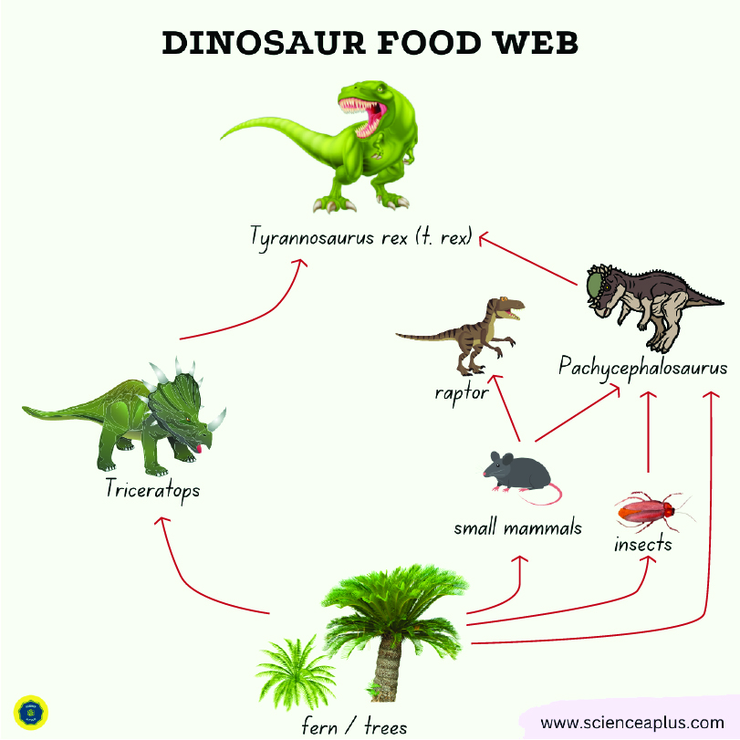 dinosaur food chain and dinosaur food web from the mesozoic era