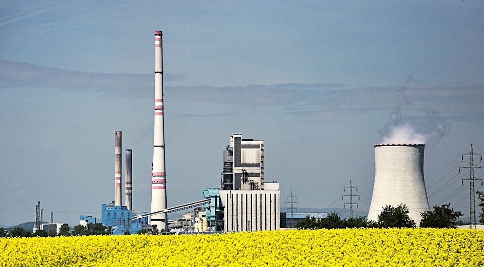 Biofuel, Power Station, Rapeseed