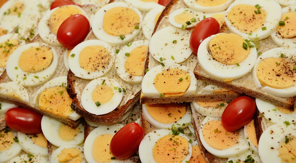 Egg Sandwich, Egg, Bread, Yolk, Boiled Eggs