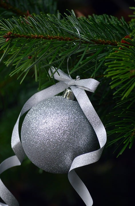 Fir Branch, Christmas Decorations, Christmas