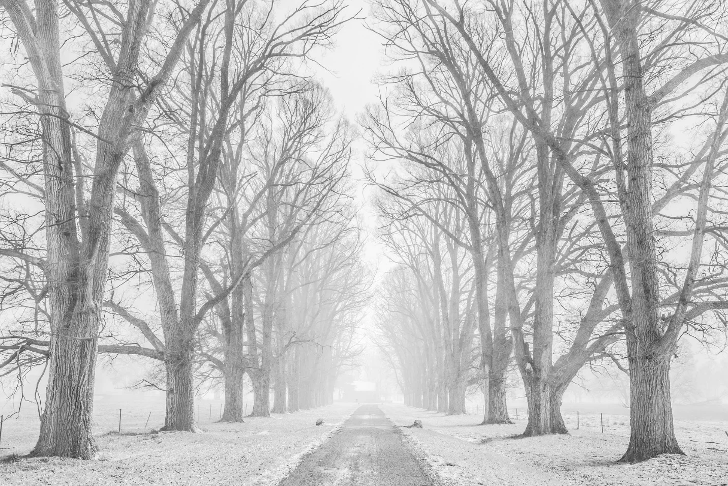 Adaptation of plants in cold environment – Adaptations seen in plants and animals
