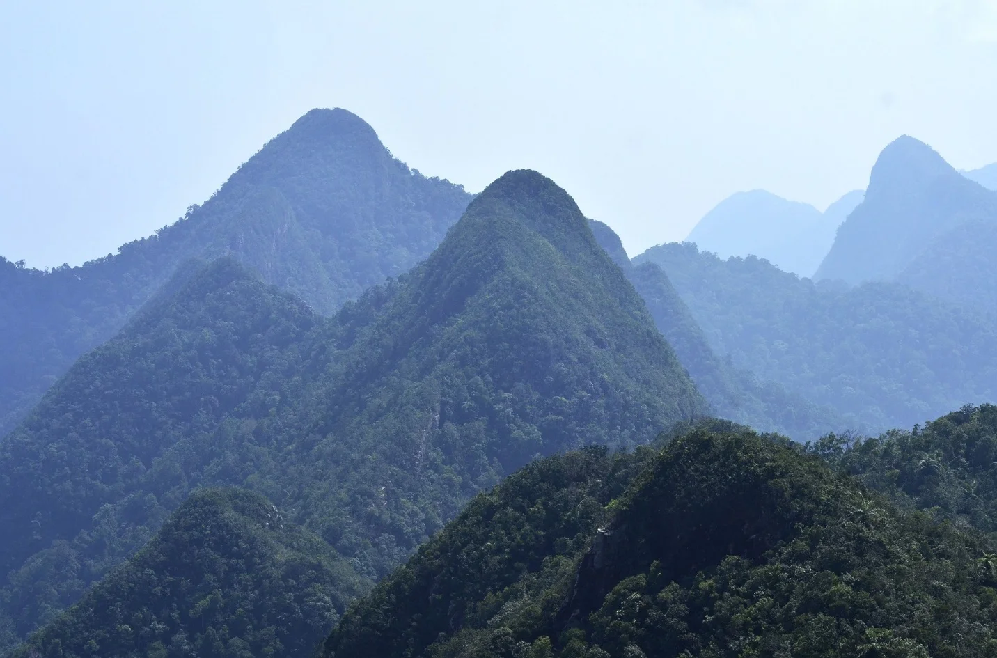 Adaptation of plants in higher elevations – Adaptations seen in plants and animals