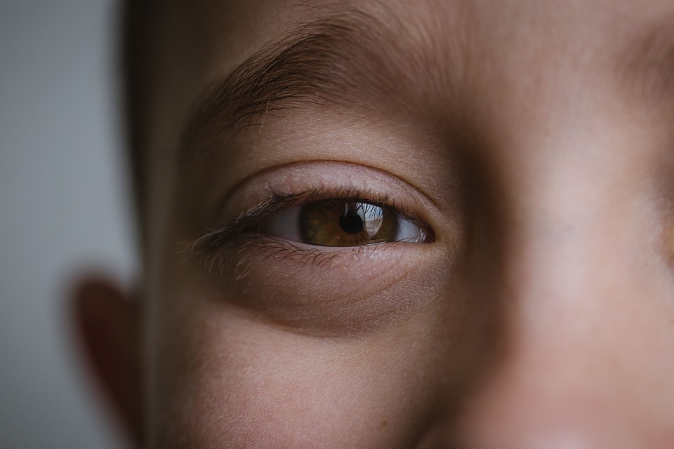 Boy, Brown Eyes, Eyes, Face, Male, Child, Kid, Close Up