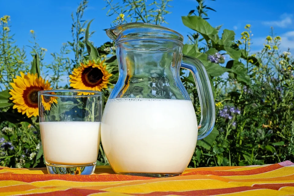 What is national milk day?