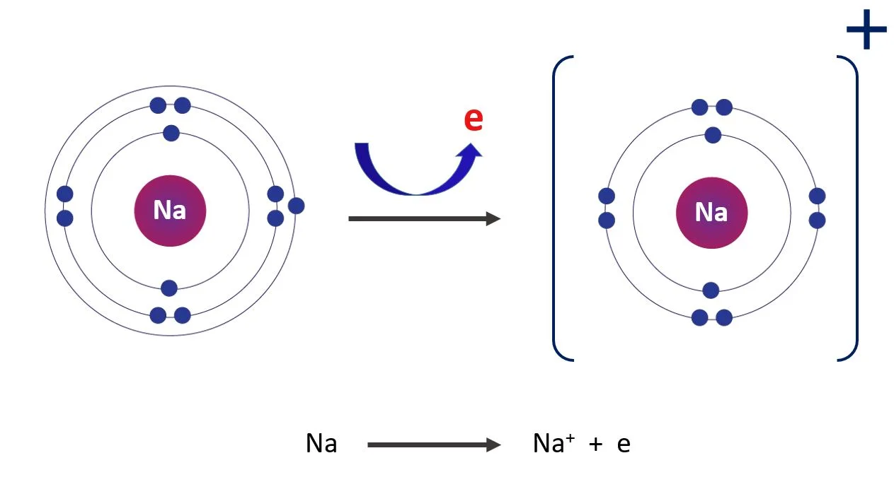 What is Activity series? – Activity series chemistry lesson