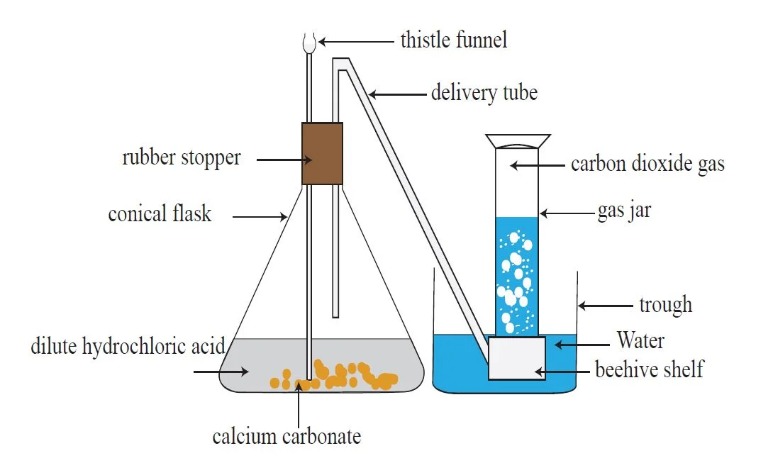 Physical properties of carbon dioxide gas – Preparation of gases